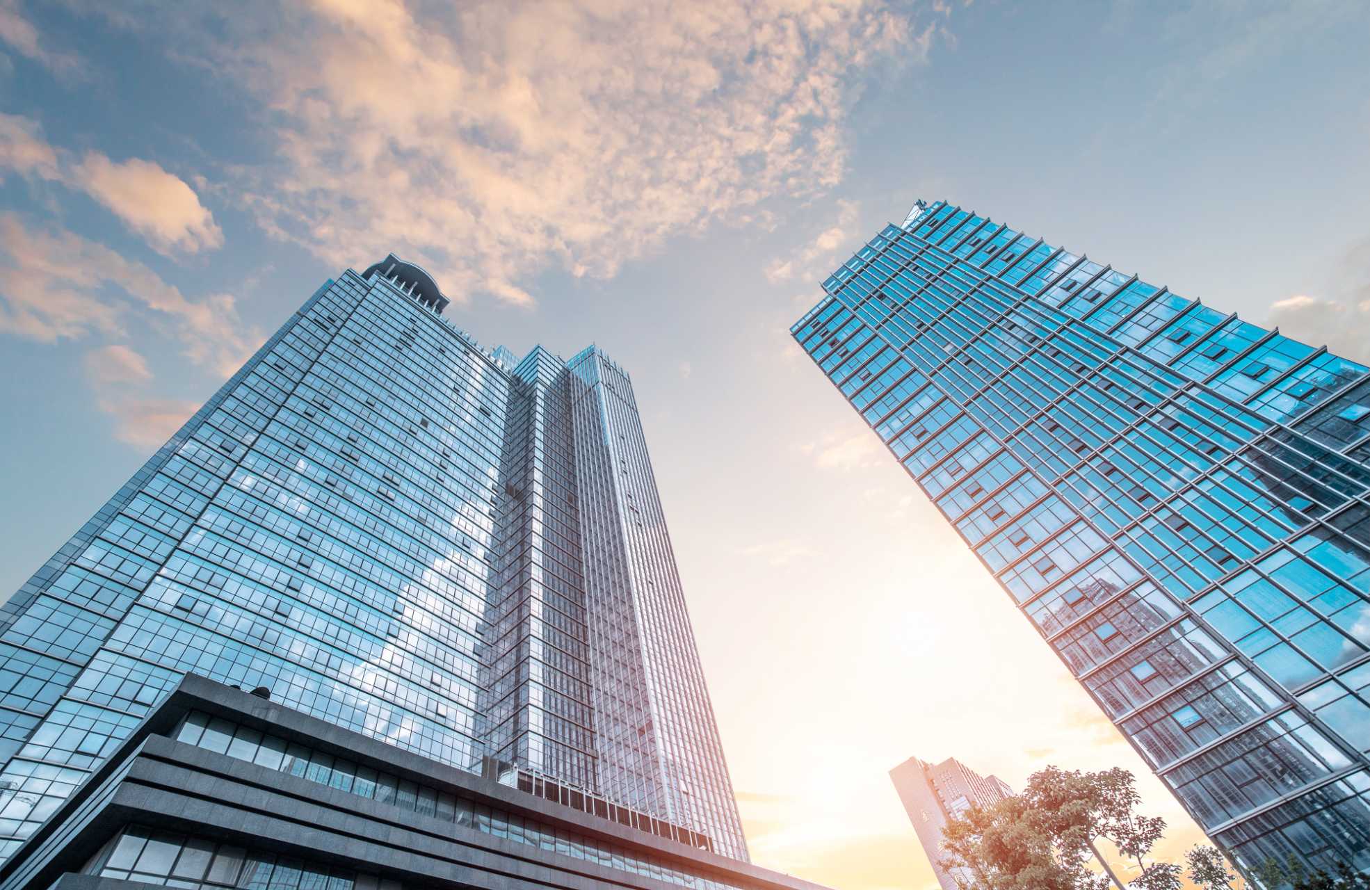 北京布莱迪，布莱迪官网，北京布莱迪官网